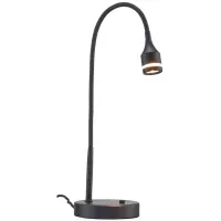Prospect LED Desk Lamp in Black by Adesso Inc