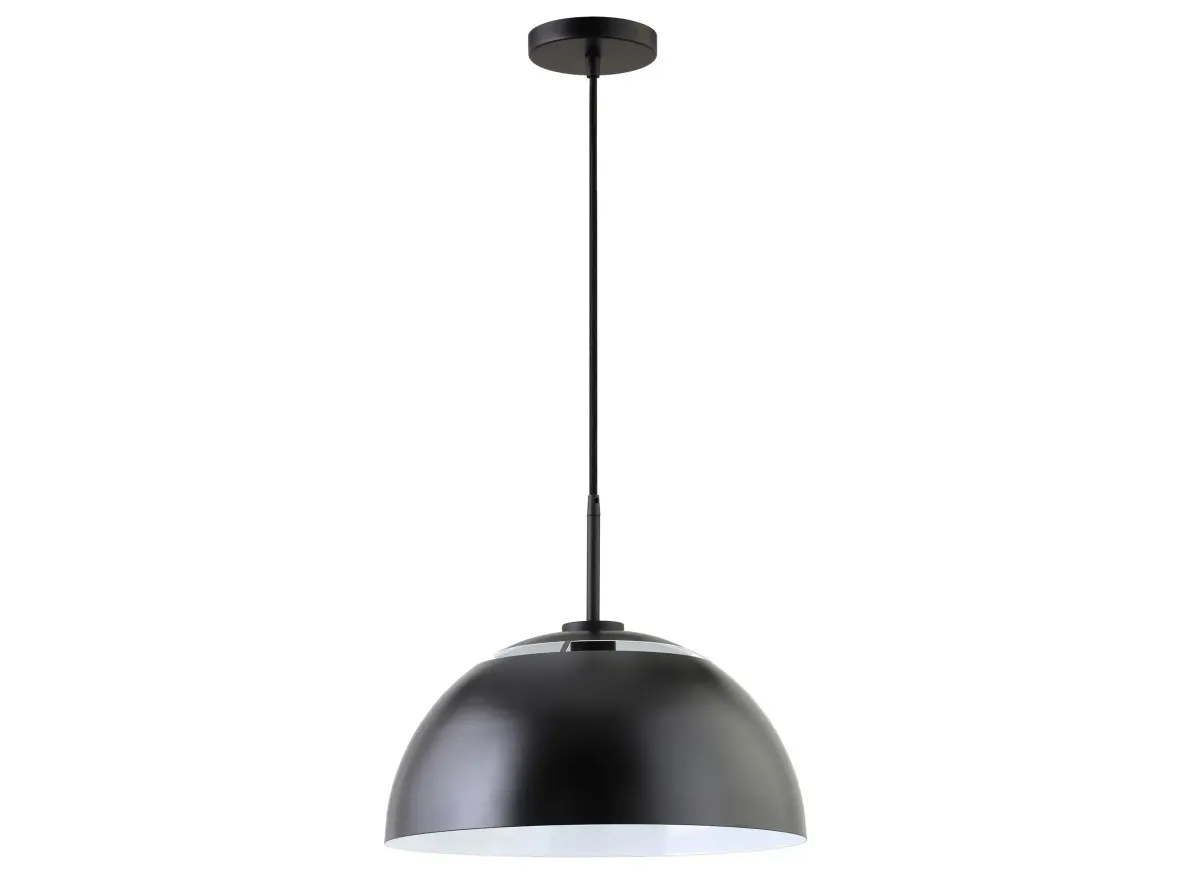 Errol Pendant in Matte Black by Hudson & Canal