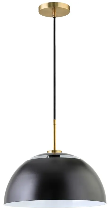 Errol Pendant in Matte Black/Brushed Brass by Hudson & Canal