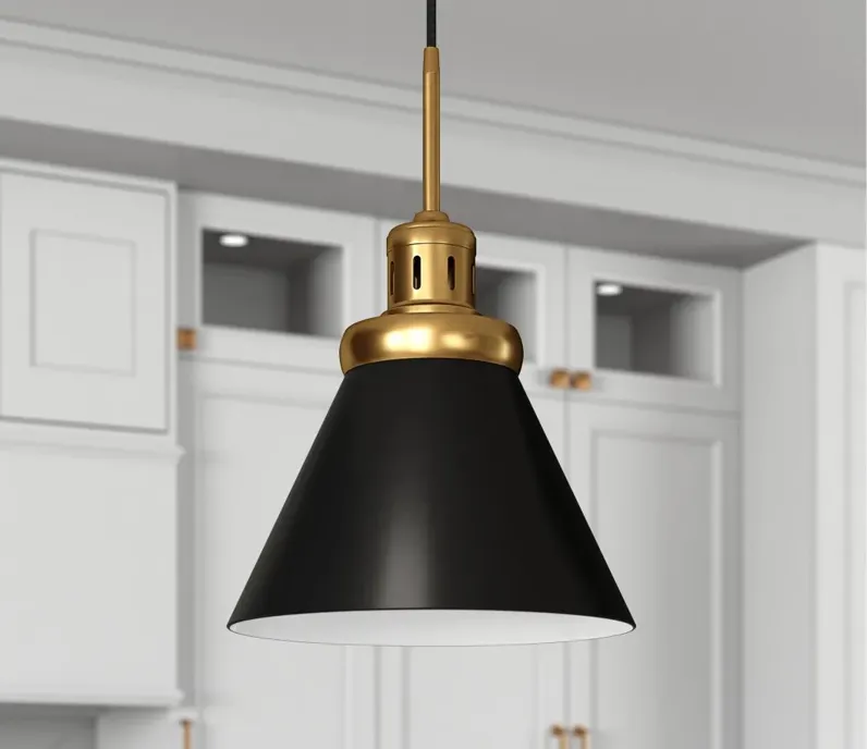 Zeno Pendant in Brushed Brass/Blackened Bronze by Hudson & Canal