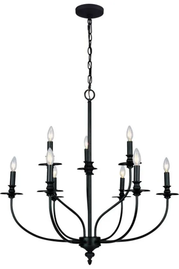 Hartford 9-Light Chandelier in Oil Rubbed Bronze by Stein World