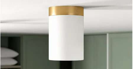 Shannon Semi Flush Mount in Brushed Brass by Hudson & Canal