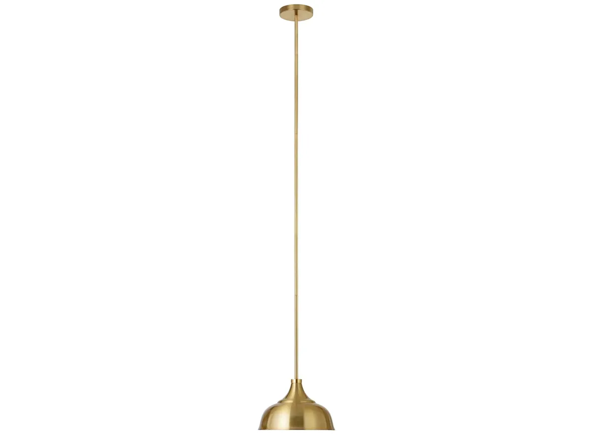 Regan Pendant in Brass by Hudson & Canal