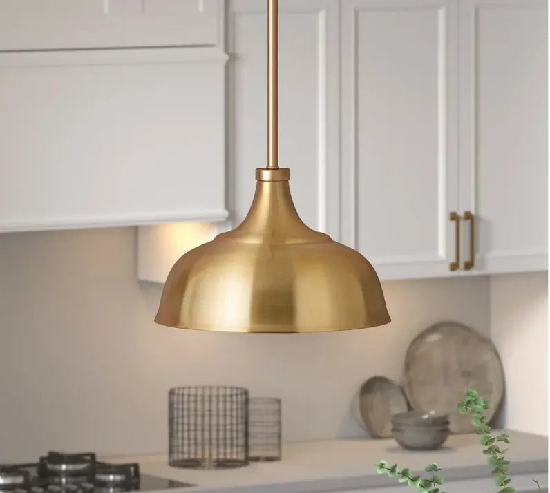 Regan Pendant in Brass by Hudson & Canal