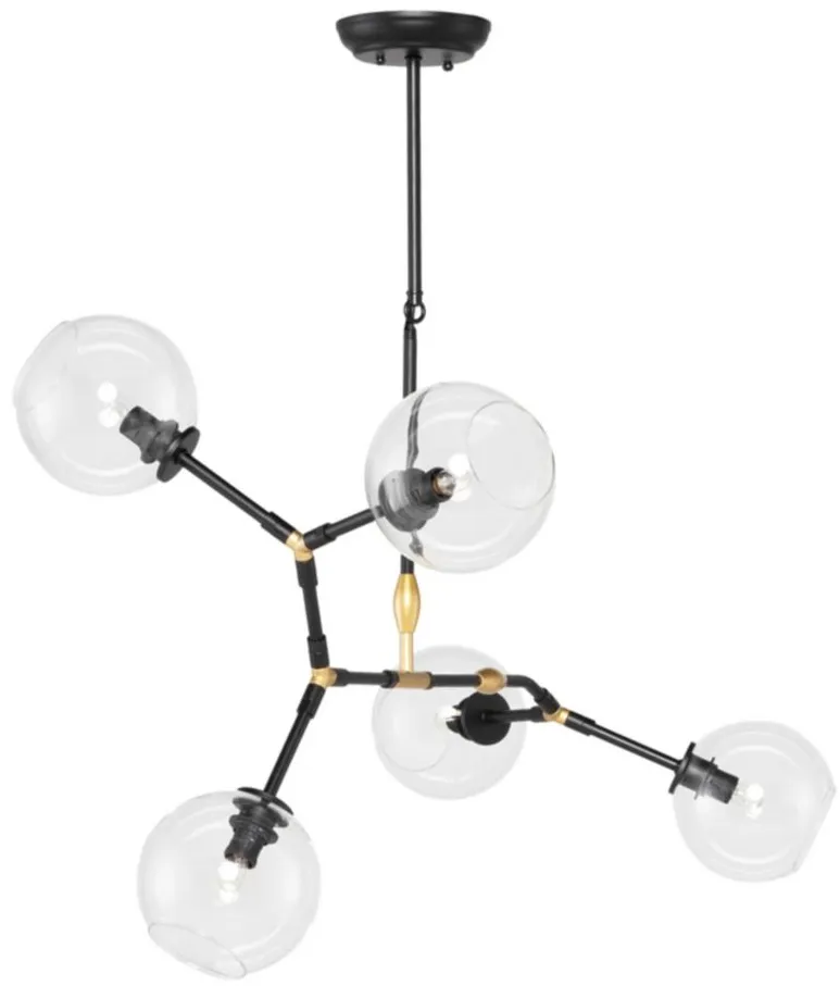 Atom 5 Pendant Light in CLEAR by Nuevo