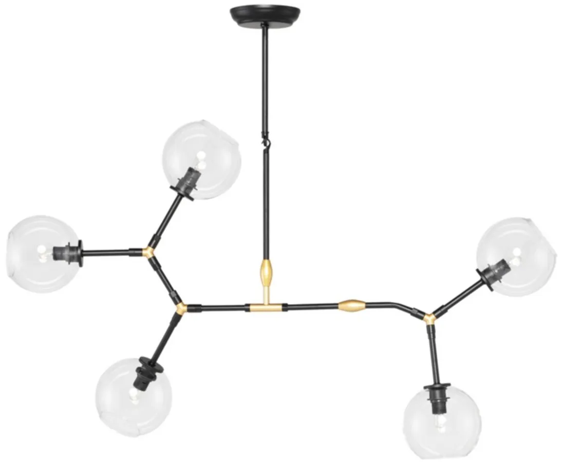 Atom 5 Pendant Light in CLEAR by Nuevo