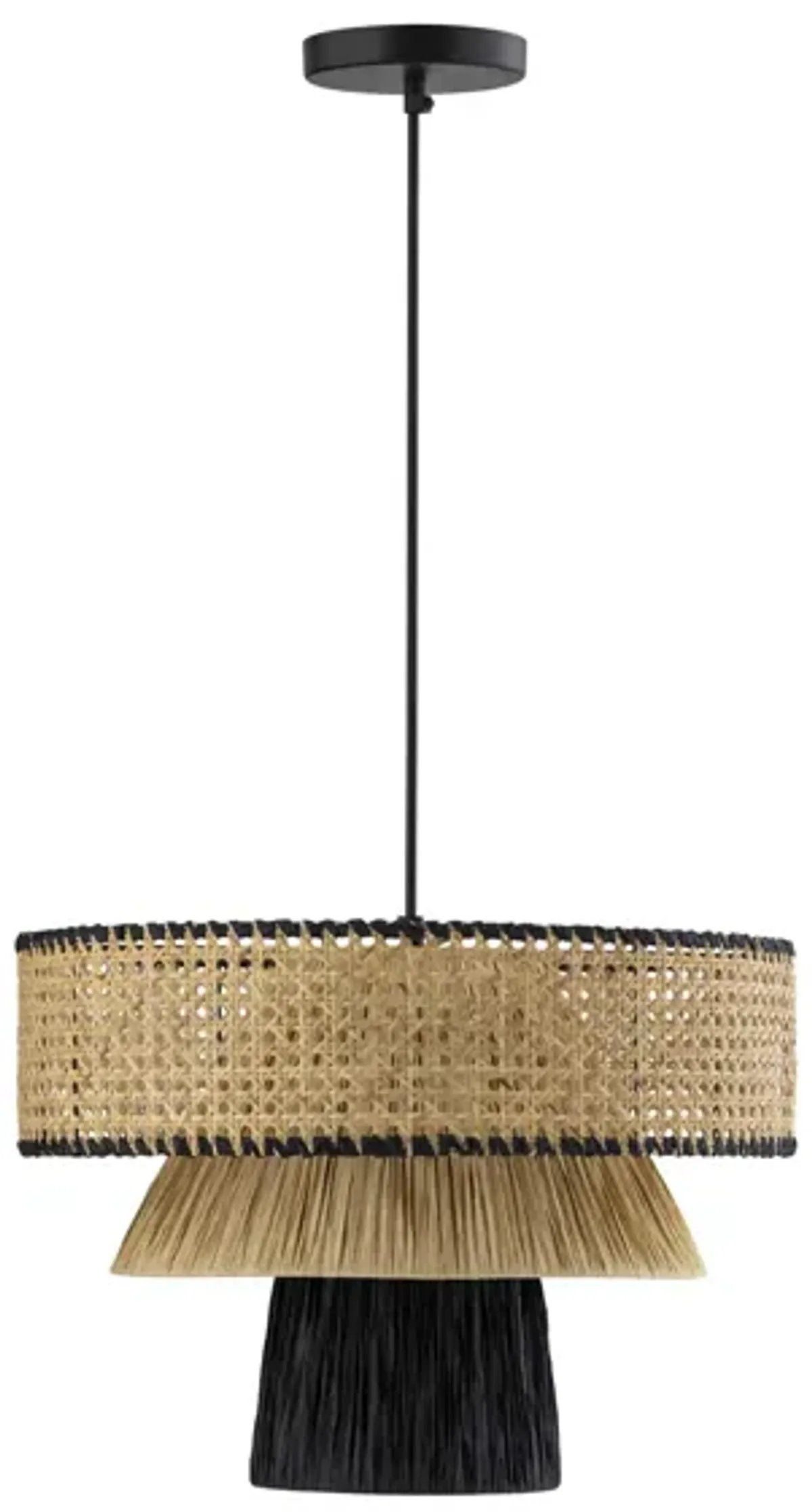 Rylie Pendant Light in Black,Natural by Tov Furniture