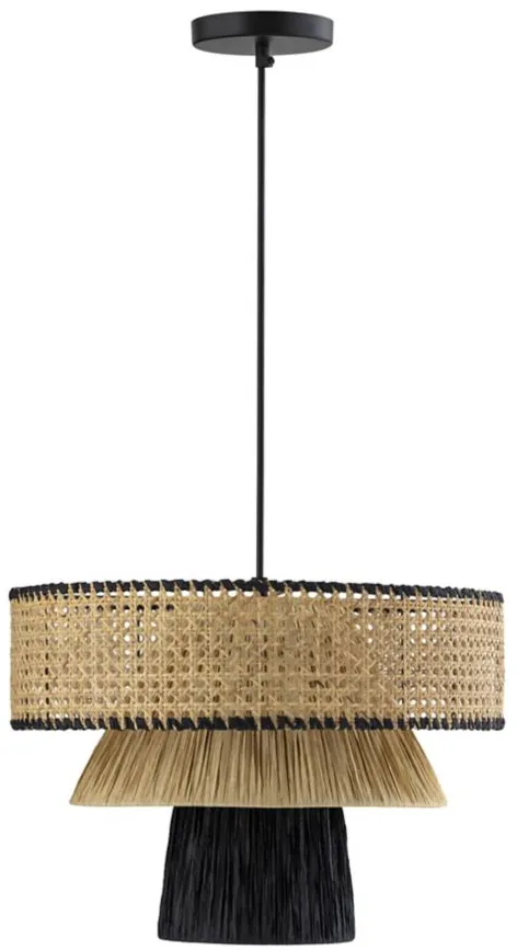 Rylie Pendant Light in Black,Natural by Tov Furniture