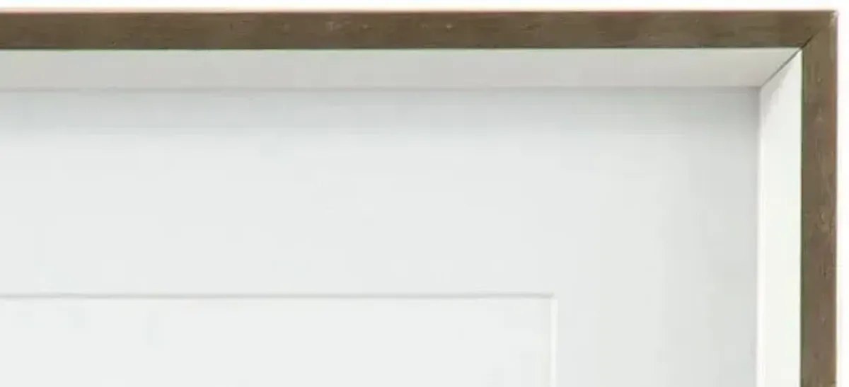 Quiet Conch Indigo II