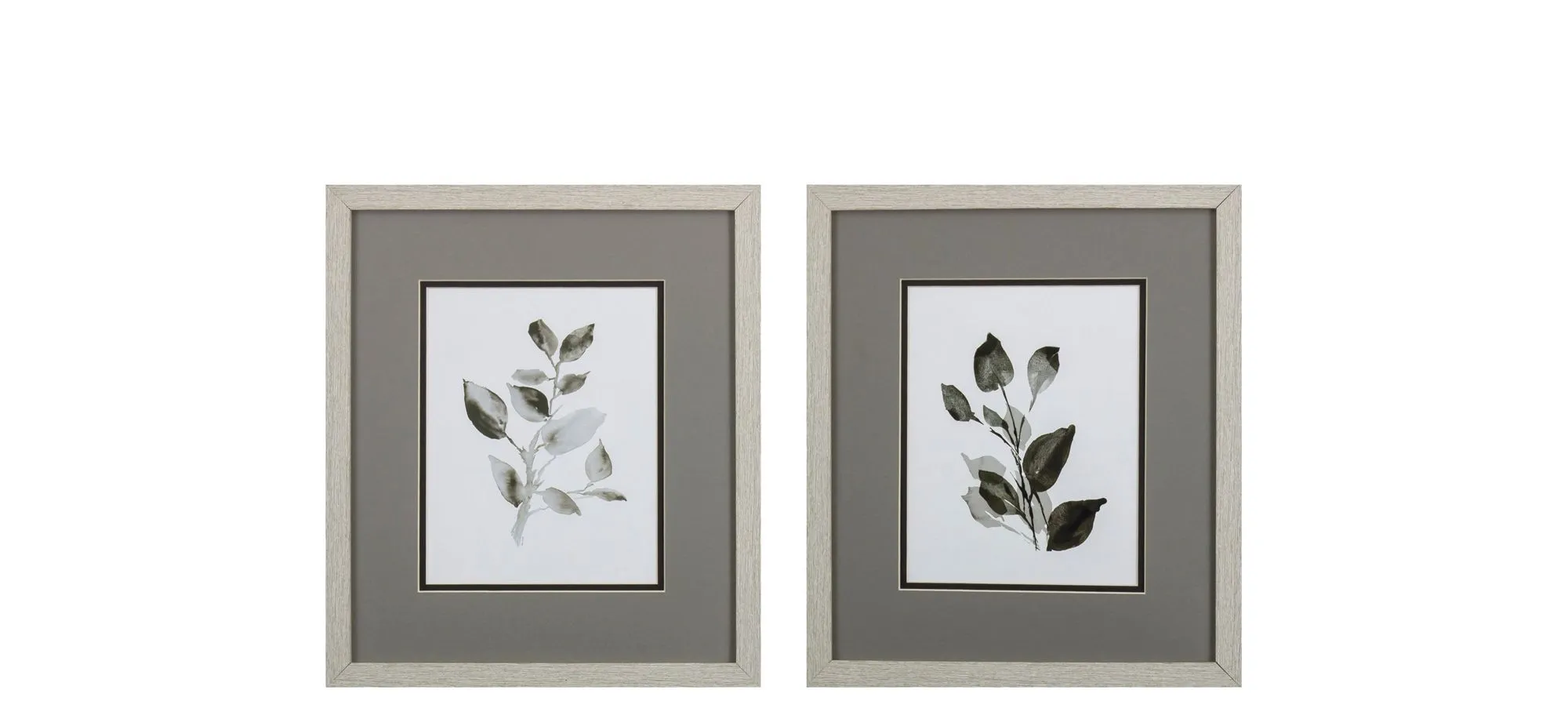 Gray Black Leaves S/2 Wall Art in Gray, Black, Neutral by Propac Images