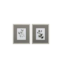 Gray Black Leaves S/2 Wall Art in Gray, Black, Neutral by Propac Images