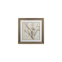 Neutral Blossoms Cream I Wall Art in Brown, Cream, Blush, Neutral by Propac Images