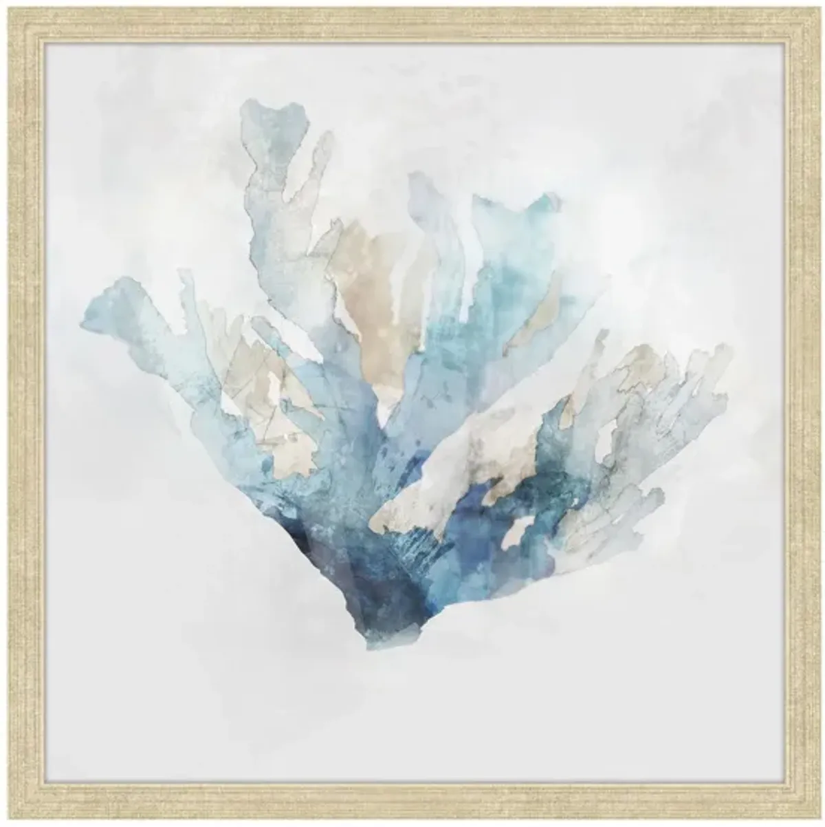 Calm Coral 1 Wall Art