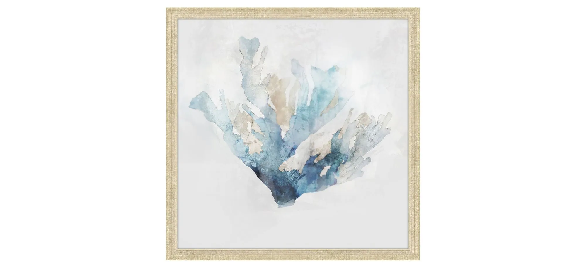 Calm Coral 1 Wall Art in WHITE, BLUE, GOLD by Bellanest