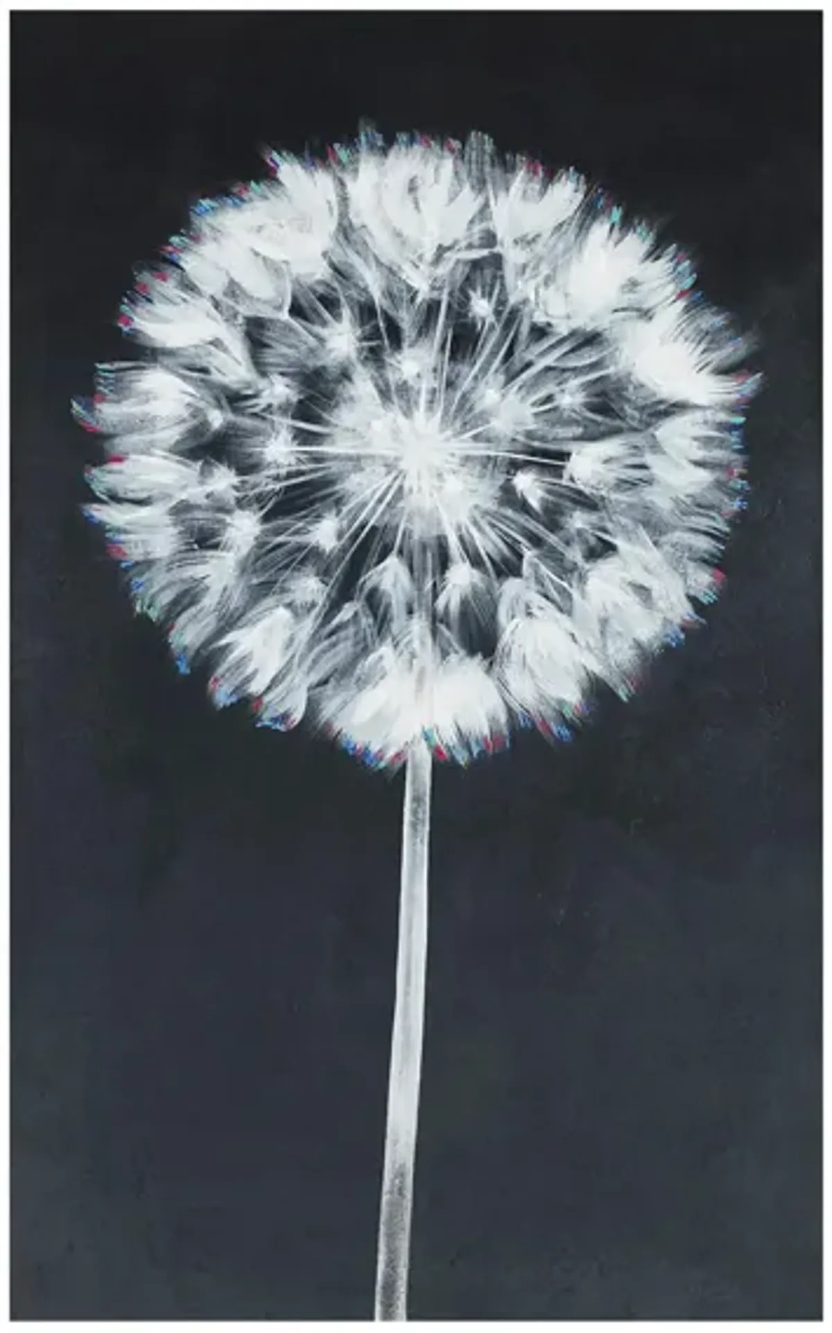 Wish Before Blowing Wall Art