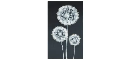 Three Puffs to the Wind Wall Art in Blue, White by Daleno Inc