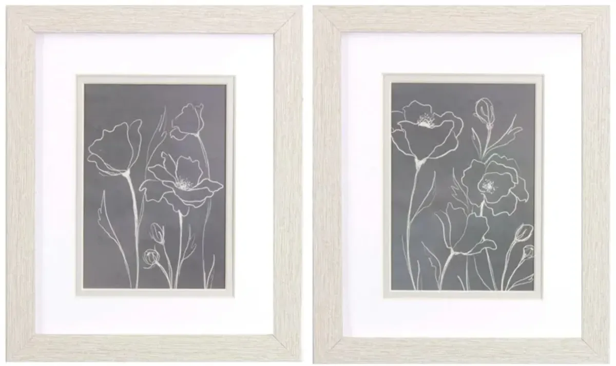 Gray Poppies Sketch - Set of 2 in Gray by Propac Images