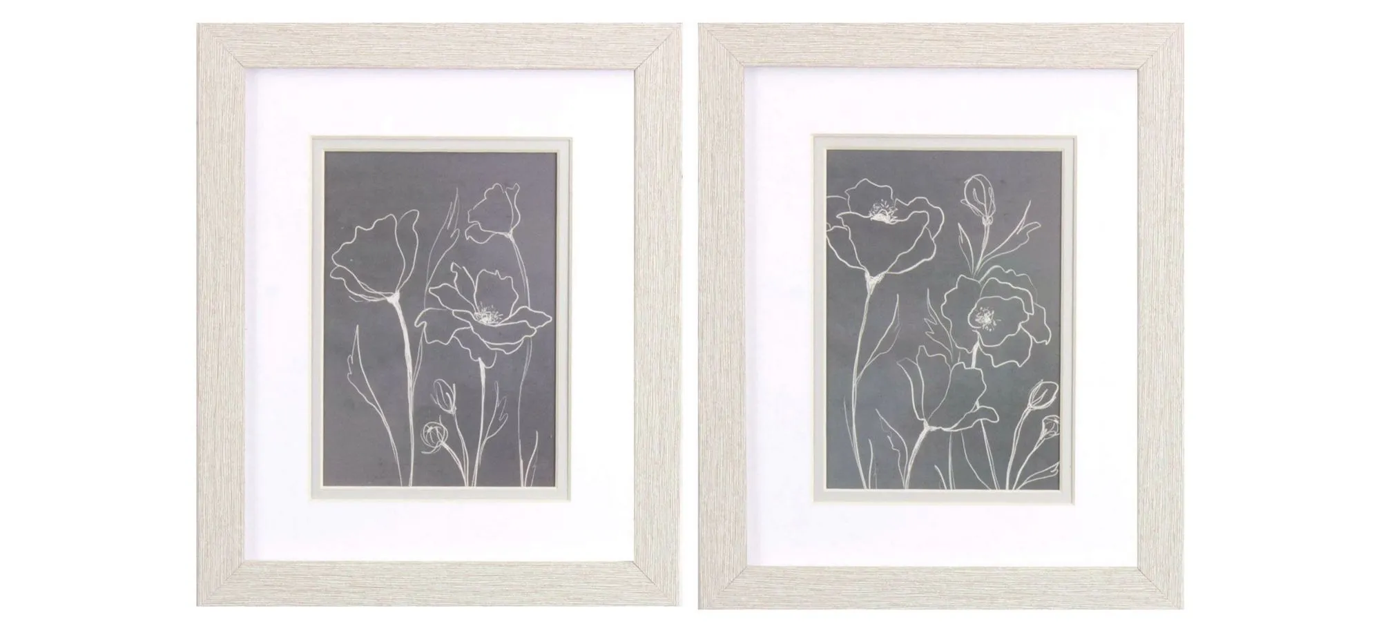 Gray Poppies Sketch - Set of 2 in Gray by Propac Images
