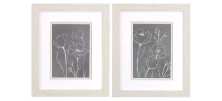 Gray Poppies Sketch - Set of 2 in Gray by Propac Images