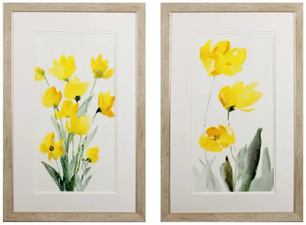 Daisies Bloom S/2 Wall Art