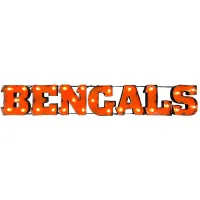 NFL Lighted Recycled Metal Sign in Cincinnati Bengals by Imperial International