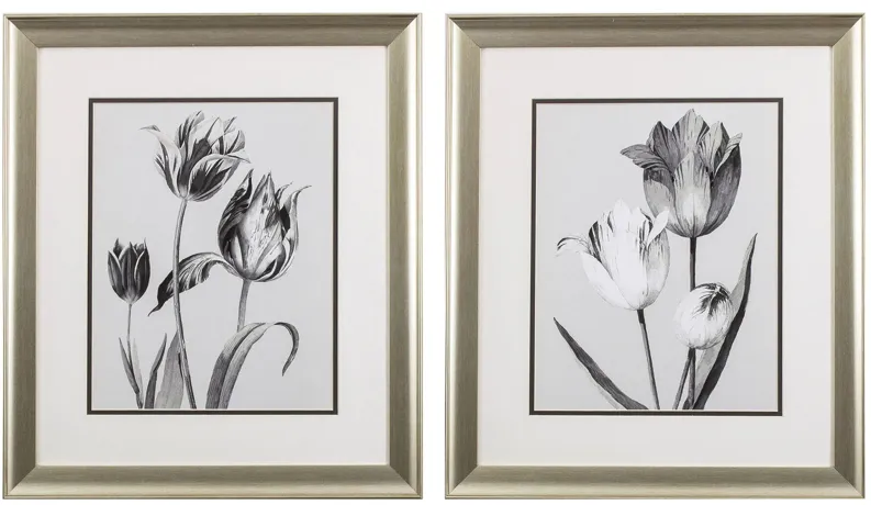 Tulip Service Wall Art in Gray, Black, White, Monochromatic by Propac Images