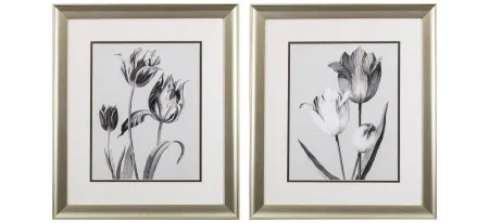 Tulip Service Wall Art in Gray, Black, White, Monochromatic by Propac Images