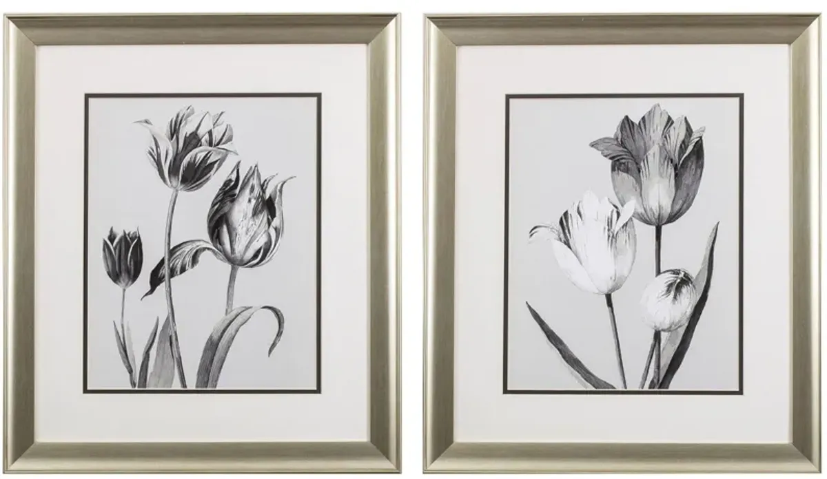 Tulip Service Wall Art in Gray, Black, White, Monochromatic by Propac Images