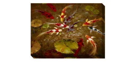 Koi Fish Gallery-Wrapped Canvas Wall Art in Multicolor by Prestige Arts /Ati Indust