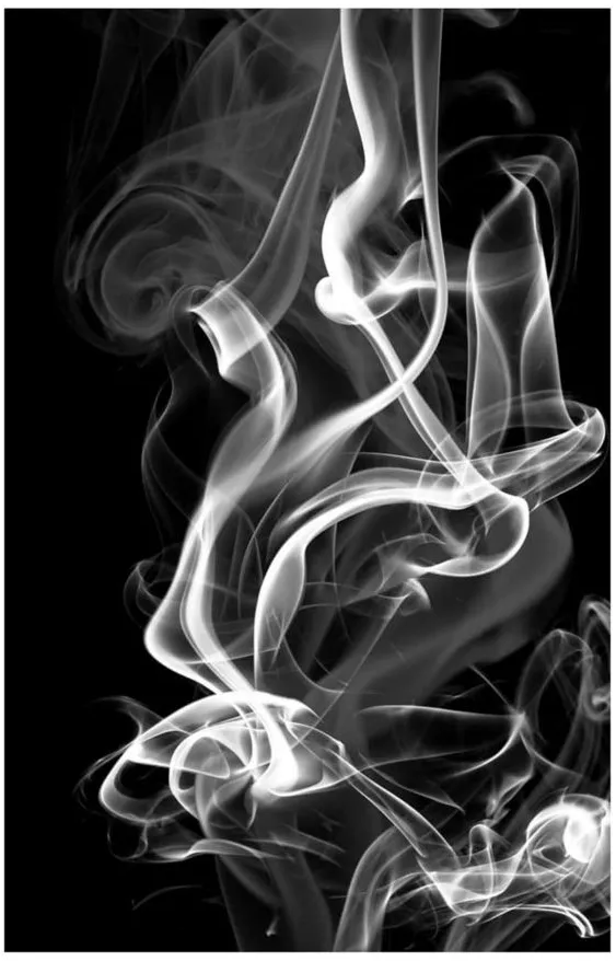 Black Smoke Abstract by GI ArtLab in Black;White by Giant Art