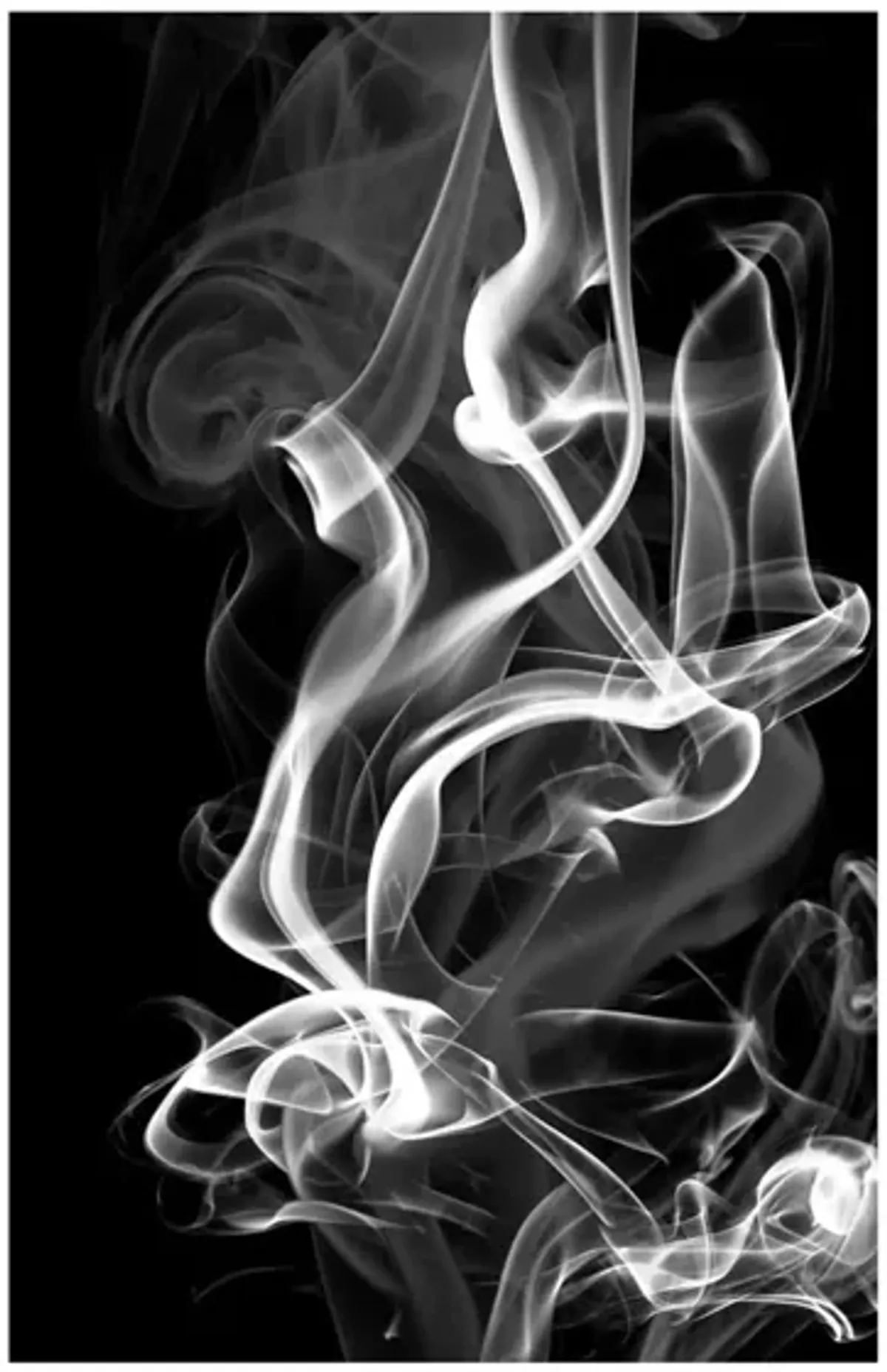 Black Smoke Abstract by GI ArtLab in Black;White by Giant Art