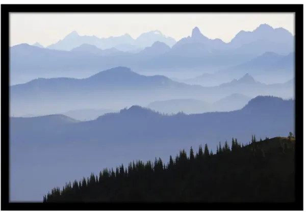 Blue Ridge Baby Wall Art