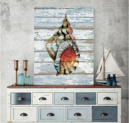 Seashell II Gallery Wrapped Canvas in Multi by Courtside Market