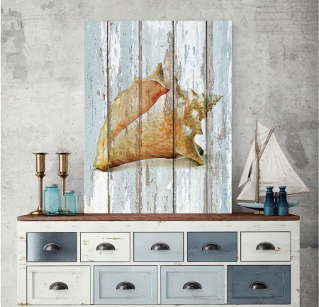 Seashell III Gallery Wrapped Canvas in Multi by Courtside Market
