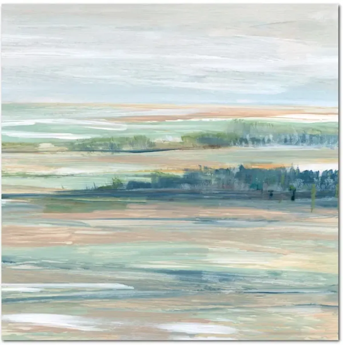 Wetlands I Gallery Wrapped Canvas