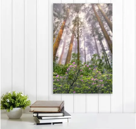 Look Up Gallery Wrapped Canvas in Multi by Courtside Market