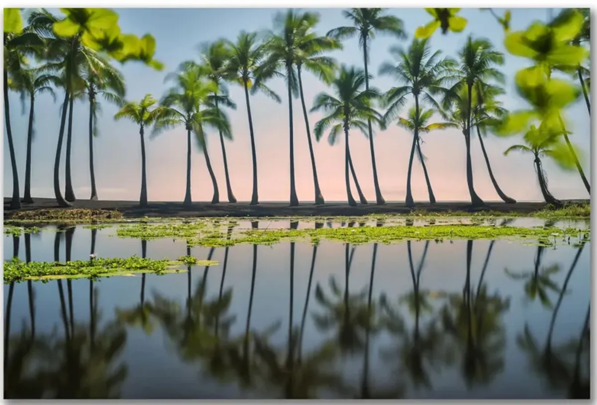 Palm Tree Reflections Gallery Wrapped Canvas in Multi by Courtside Market