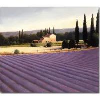 Lavender Fields II Gallery Wrapped Canvas in Multi by Courtside Market
