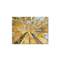 Looking Up Wall Art in Yellow;White;Blue by Prestige Arts /Ati Indust