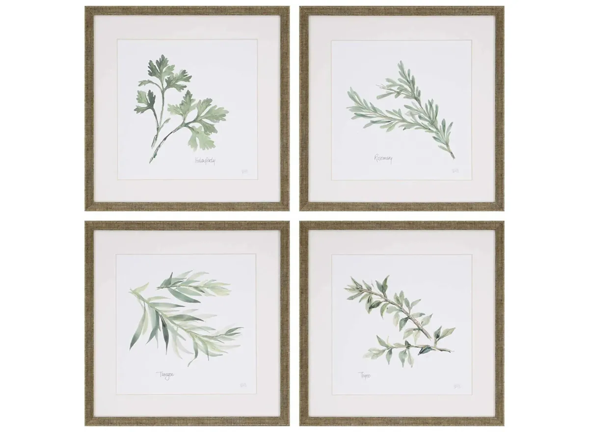 Sonny Herbs Wall Art S4 in Green