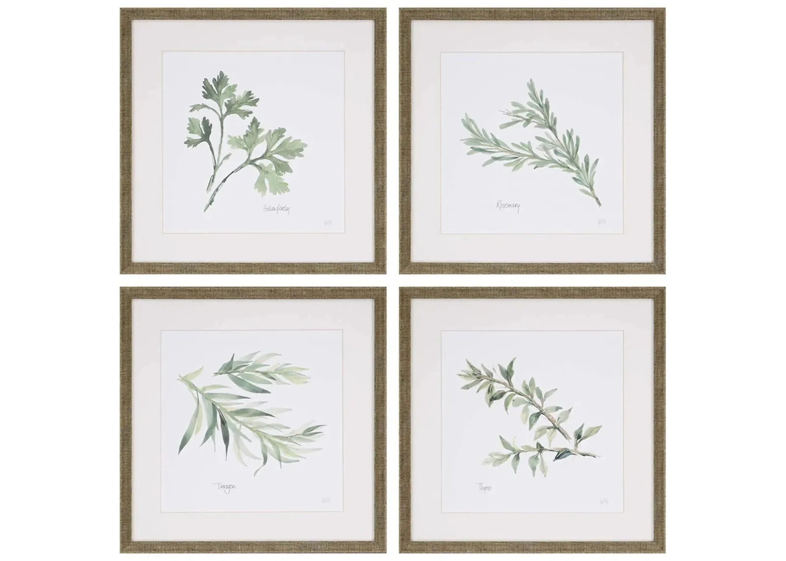 Sonny Herbs Wall Art S4 in Green