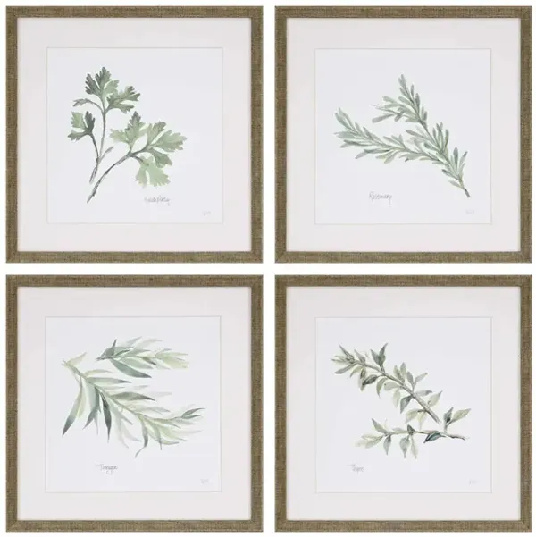 Sonny Herbs Wall Art S4