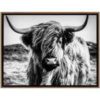 Stratton Black and White Highland Cow Canvas Wall Art in Multi by Stratton Home Decor