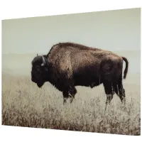 Brutus Modern Farmhouse Bison Wall Art on Glass in Sepia by Ashley Express