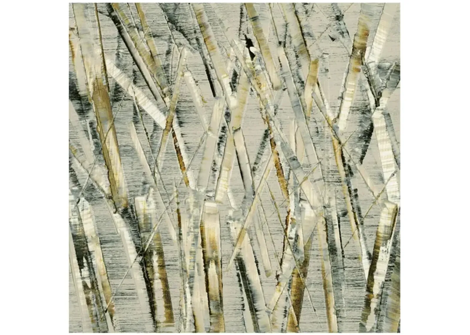 Birches V by Sharon Gordon in Gray;Brown;Ivory by Giant Art