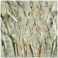 Birches V by Sharon Gordon in Gray;Brown;Ivory by Giant Art