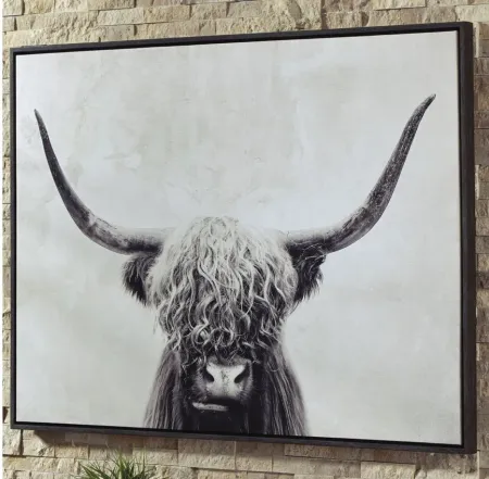 Pancho Wall Art in Black/White by Ashley Express