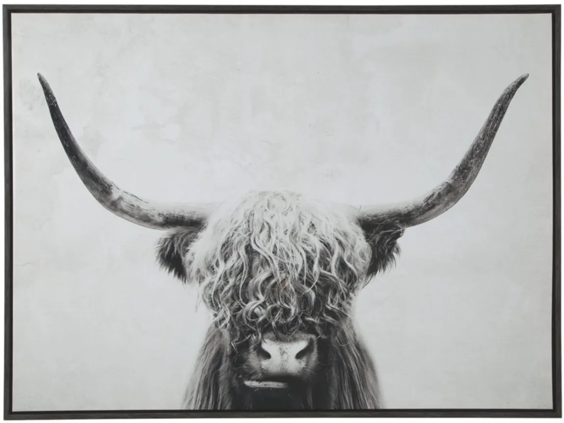 Pancho Wall Art in Black/White by Ashley Express