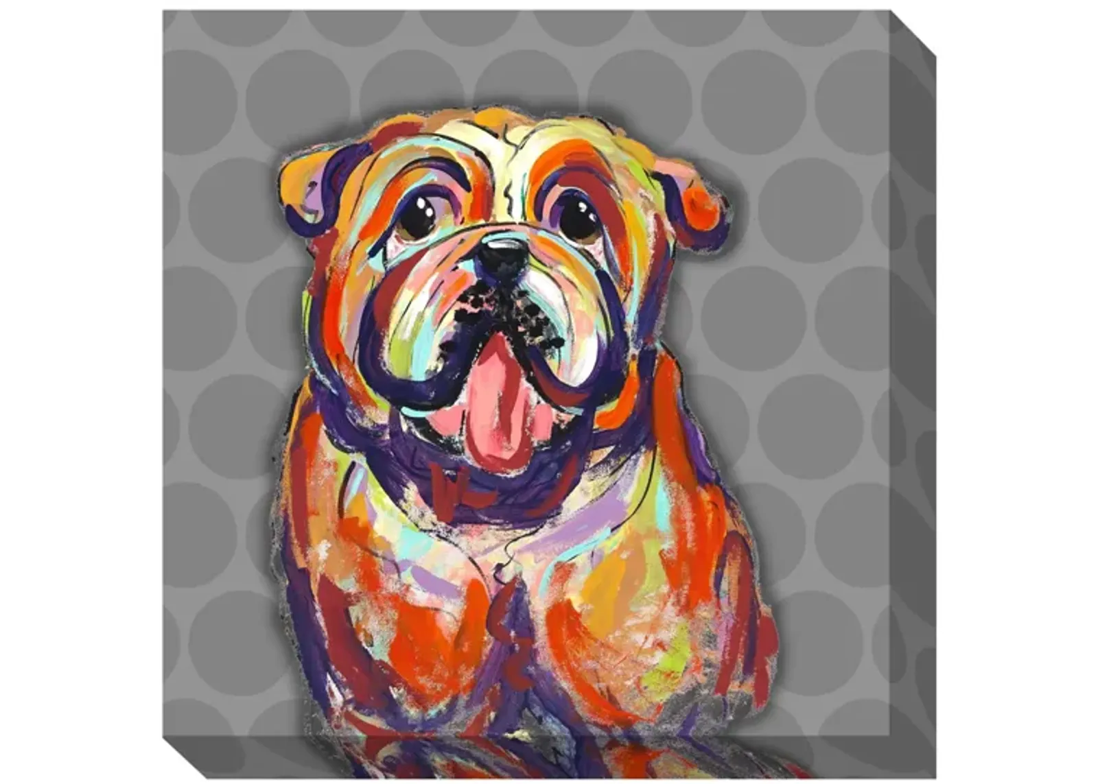 Bulldog Canvas Wall Art in MULTI by Bellanest