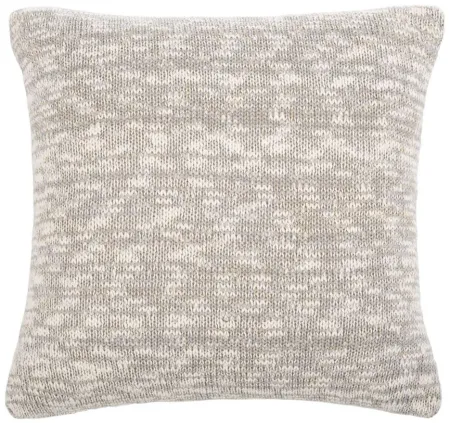 Textures And Weaves Accent Pillow in Gray/Gold by Safavieh